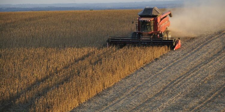 BTRA11 divulga dividendos com rendimento anual de 7,87%; confira o montante