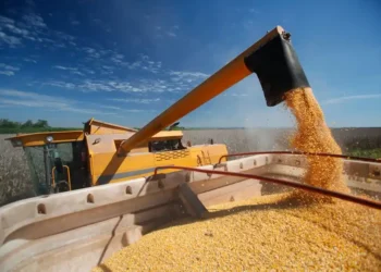 A previsão do governo é investir R$ 7,15 bilhões no escoamento da produção de grãos