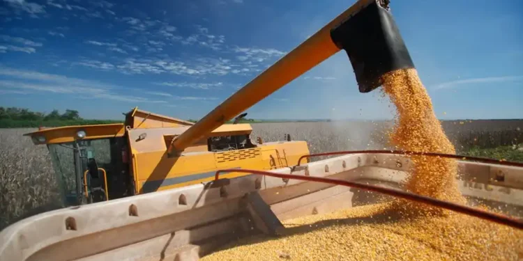 A previsão do governo é investir R$ 7,15 bilhões no escoamento da produção de grãos