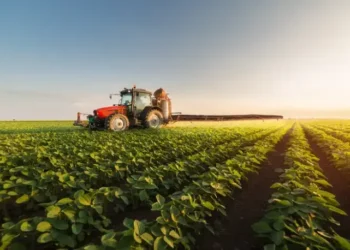 RZAG11: Fiagro registra o maior lucro em sete meses e os dividendos geram 1,51% de rendimento mensal