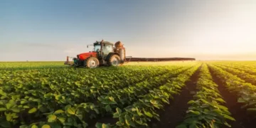 RZAG11: Fiagro registra o maior lucro em sete meses e os dividendos geram 1,51% de rendimento mensal