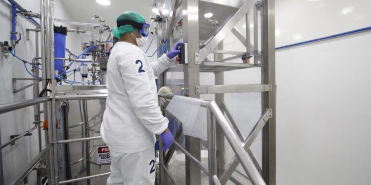 Empresa do Ceará gera R$ 25 milhões com o combate a fungos em pães