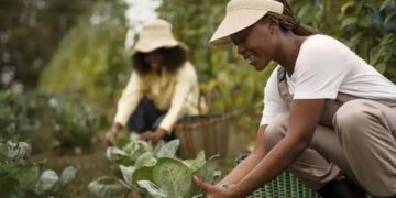 BNB: Em 2024, as mulheres do meio rural contrataram mais de R$ 4,4 bilhões em crédito