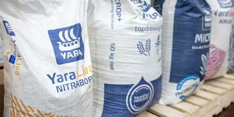 A amônia verde é menos densa em termos de energia, os navios precisariam de mais, aumentando ainda mais a diferença de custo.