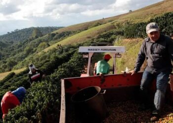 A cadeia produtiva do café no Brasil enfrenta o desafio de lidar com a escalada das cotações (Foto: Patricia Monteiro/Bloomberg)