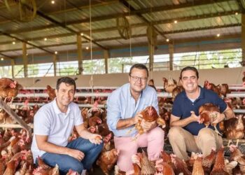 A partir da esq., Leandro Menoita, Luiz Barbieri e Marcus Almeida, o trio de executivos à frente da Raiar Orgânicos