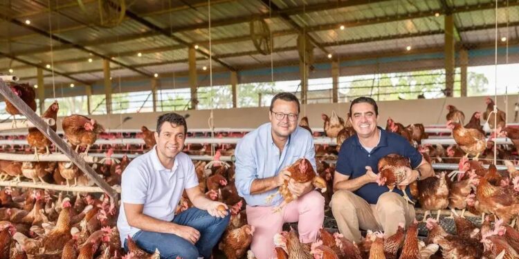 A partir da esq., Leandro Menoita, Luiz Barbieri e Marcus Almeida, o trio de executivos à frente da Raiar Orgânicos