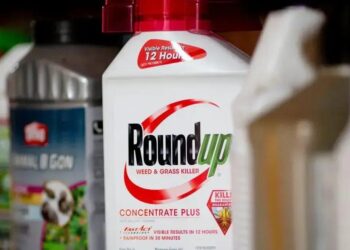 As ações da empresa caíram mais de 70% desde a aquisição da Monsanto, com os investidores desanimados com os problemas legais.