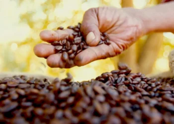 Companhias de café solicitam recuperação judicial devido a uma dívida de R$ 2,13 bilhões