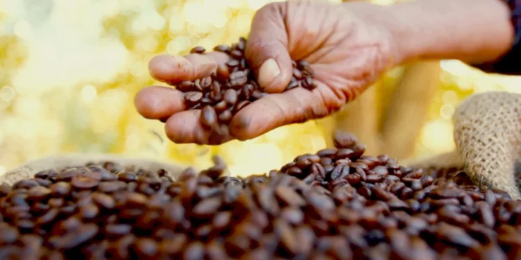 Companhias de café solicitam recuperação judicial devido a uma dívida de R$ 2,13 bilhões