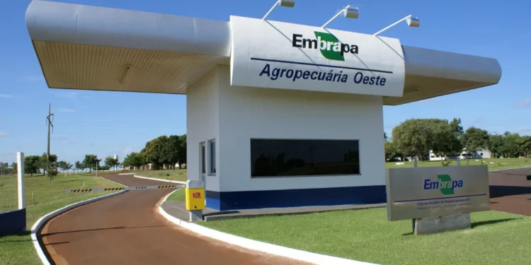 CNA confirma aporte de R$ 100 milhões para estudos da Embrapa