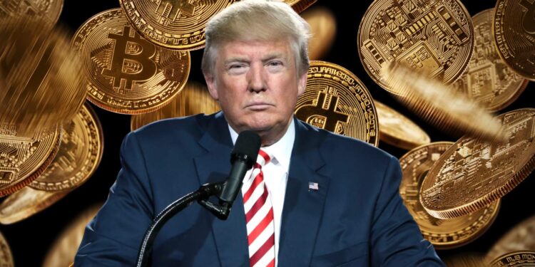 Bitcoin (BTC) X Donald Trump: a guerra tarifária do presidente ‘pró cripto’ afeta a perspectiva de preços da principal criptomoeda global