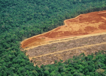 Estudo indica que o desmatamento na Amazônia intensifica as secas e tempestades, de acordo com um estudo