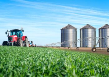 Mundim: o setor agrícola representa a salvação do país em termos de qualidade de investimentos