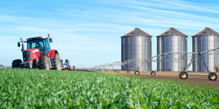 Mundim: o setor agrícola representa a salvação do país em termos de qualidade de investimentos