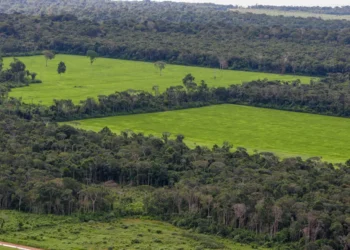 Pesquisa indica a demanda por R$ 1,9 bilhão em investimentos ambientais