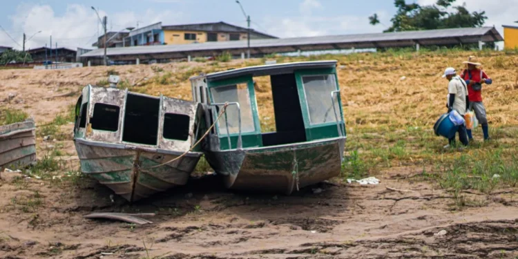 A Amazônia registrou uma perda de 3,6% da água de rios e lagos em 2024, de acordo com um relatório