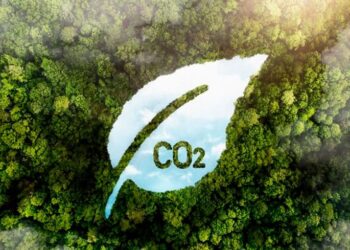 O mercado de carbono ainda está em desenvolvimento, porém atrai especialistas em investimentos