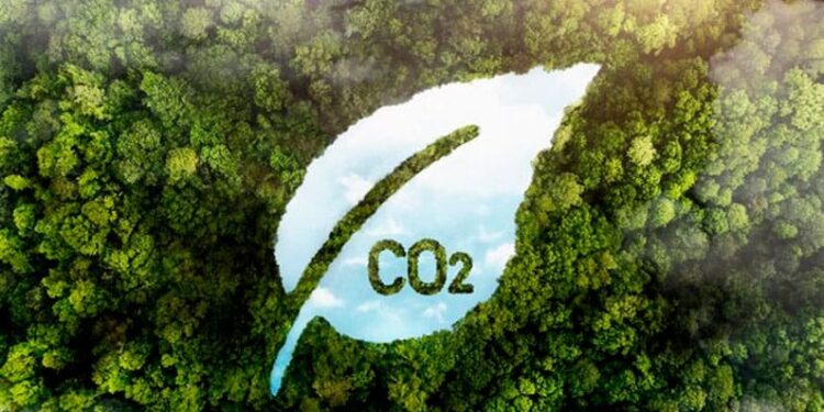 O mercado de carbono ainda está em desenvolvimento, porém atrai especialistas em investimentos