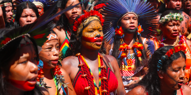 Caravana rumo à COP30: Povos indígenas se organizam para a discussão sobre o clima