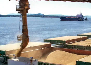 Anec: Em março, as exportações de soja deverão aumentar 9,2%, atingindo 14,8 milhões de toneladas