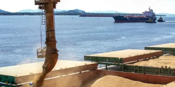Anec: Em março, as exportações de soja deverão aumentar 9,2%, atingindo 14,8 milhões de toneladas