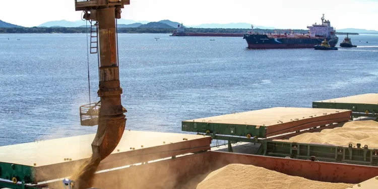 Anec: Em março, as exportações de soja deverão aumentar 9,2%, atingindo 14,8 milhões de toneladas