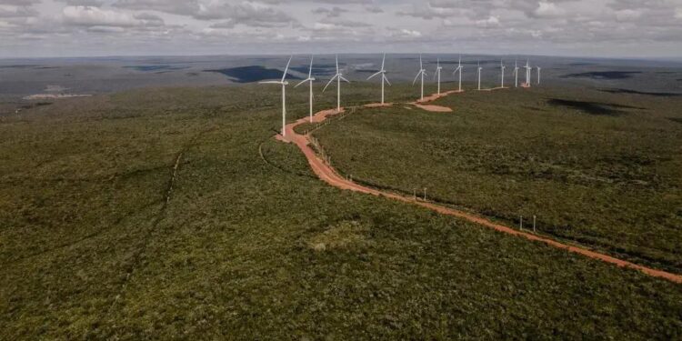 Turbinas eólicas da Casa dos Ventos: projeto visa abastecer refinarias da TotalEnergies na Europa. (Foto: Maria Magdalena Arrellaga/Bloomberg)