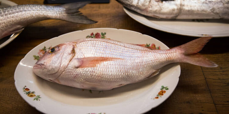 Os peixes do Ceará podem conquistar mais espaço no mercado chinês após a guerra comercial de Trump; entenda