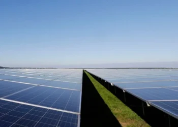 Um braço da Colibri Capital levantou R$ 410 milhões para a construção de centrais solares