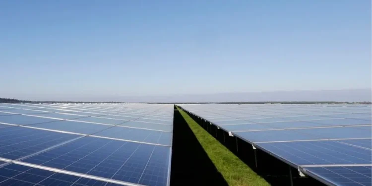 Um braço da Colibri Capital levantou R$ 410 milhões para a construção de centrais solares