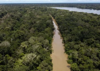 Belém dá início à viagem da Amazônia para a COP30