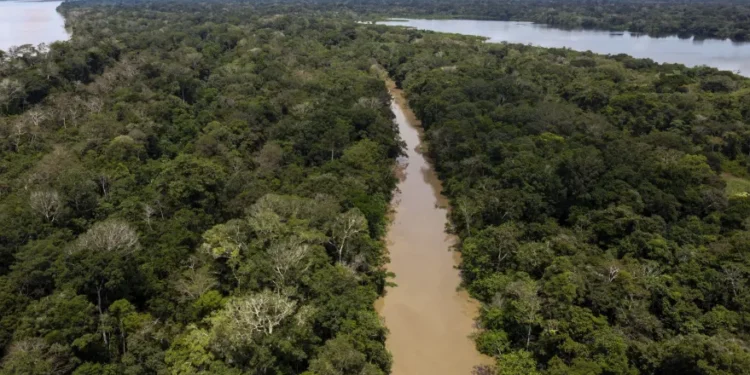 Belém dá início à viagem da Amazônia para a COP30