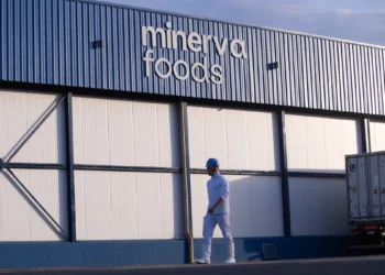 Minerva (BEEF3) despenca quase 3% devido ao aumento de capital de US$ 1 bilhão