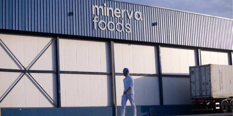 Minerva (BEEF3) despenca quase 3% devido ao aumento de capital de US$ 1 bilhão