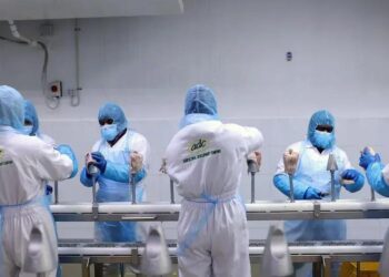 A produção de frango na Arábia Saudita cresce rapidamente, impulsionada por investimentos e uma mudança nos hábitos de consumo (Foto: Maya Anwar/Bloomberg)