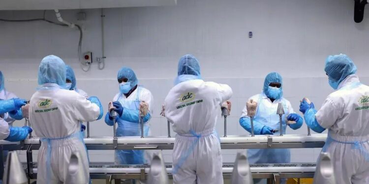 A produção de frango na Arábia Saudita cresce rapidamente, impulsionada por investimentos e uma mudança nos hábitos de consumo (Foto: Maya Anwar/Bloomberg)