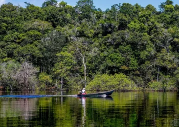 COP30: Relatório conjunto do governo e do Instituto AYA apresenta relatório sobre transformação ecológica
