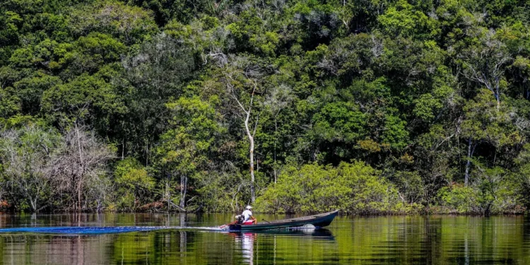 COP30: Relatório conjunto do governo e do Instituto AYA apresenta relatório sobre transformação ecológica