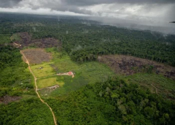 Brasil assina acordo para intensificar a fiscalização contra delitos na Amazônia