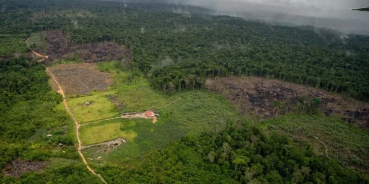 Brasil assina acordo para intensificar a fiscalização contra delitos na Amazônia
