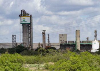 Petrobras autoriza pacto com Unigel sobre unidades de fertilizantes