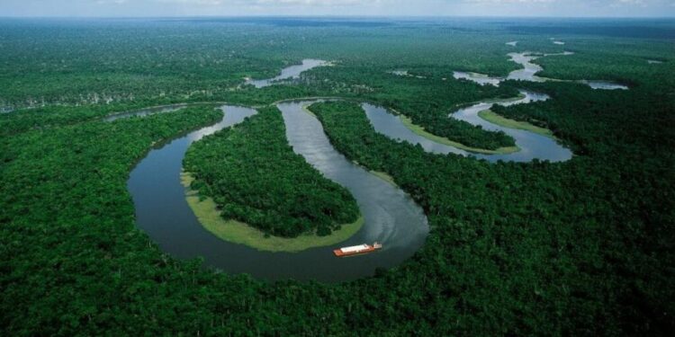 Os primeiros US$ 25 bilhões podem desbloquear os US$ 100 bilhões, afirma o presidente da COP30