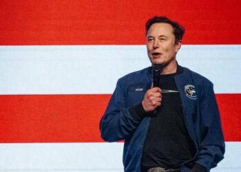 Musk Chama Navarro de Burro e Revela Divisão na Trump