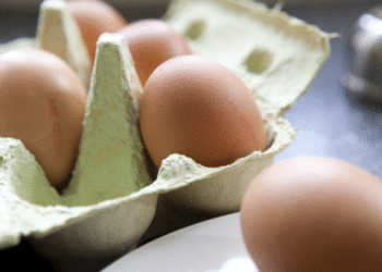 Global Eggs adquire propriedade Legaria na Espanha com planos de fazer aquisições na Europa