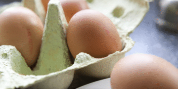 Global Eggs adquire propriedade Legaria na Espanha com planos de fazer aquisições na Europa
