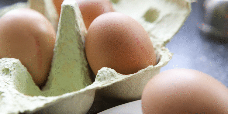 Global Eggs adquire propriedade Legaria na Espanha com planos de fazer aquisições na Europa