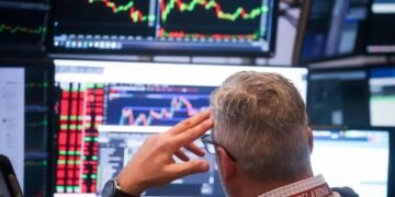 5 Coisas Sobre a Gripe Aviária Que Você Precisa Saber Hoje