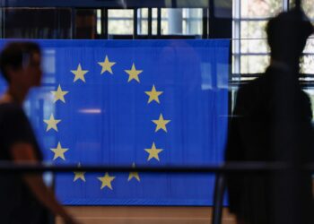 Onze nações exigem que a União Europeia amplie as leis contra o desmatamento
