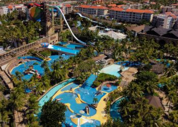 Beach Park amplia compromisso sustentável e compensa mais de 3.000 toneladas, referentes a todas as operações do complexo no ano de 2024
